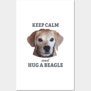 KEEP CALM and HUG A BEAGLE Posters and Art